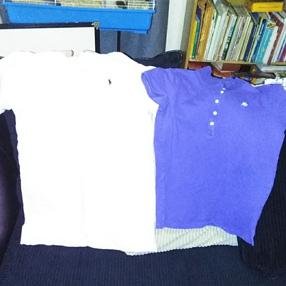 2 polo style shirts for $8